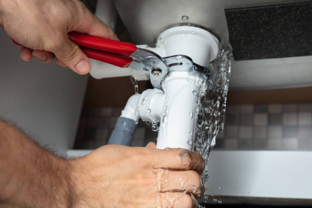Best Fire Damage Restoration  in Augusta, WI