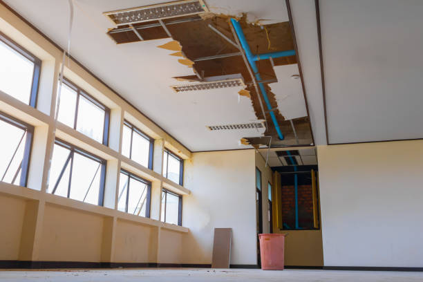 Best Mold removal after water damage  in Augusta, WI