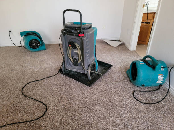 Best Water damage restoration near me  in Augusta, WI