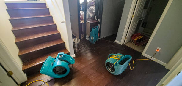 Best Carpet water damage restoration  in Augusta, WI