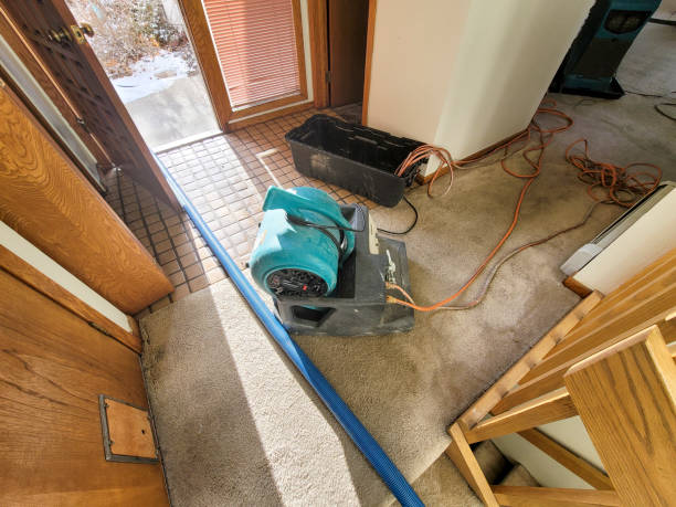 Best Residential water damage restoration  in Augusta, WI
