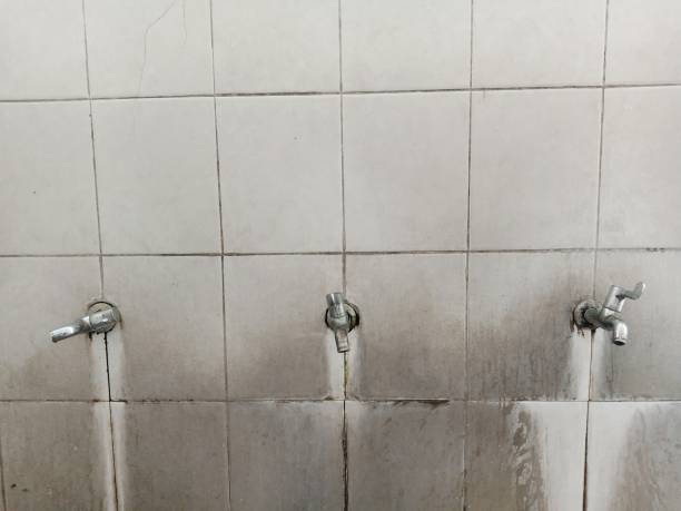 Best Residential water damage restoration  in Augusta, WI